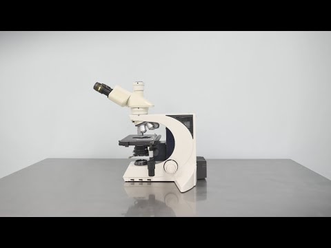 Sexy Wiry Porn Videos With Micro Scope - Leica DMLB Microscope -Upright - The Lab World Group
