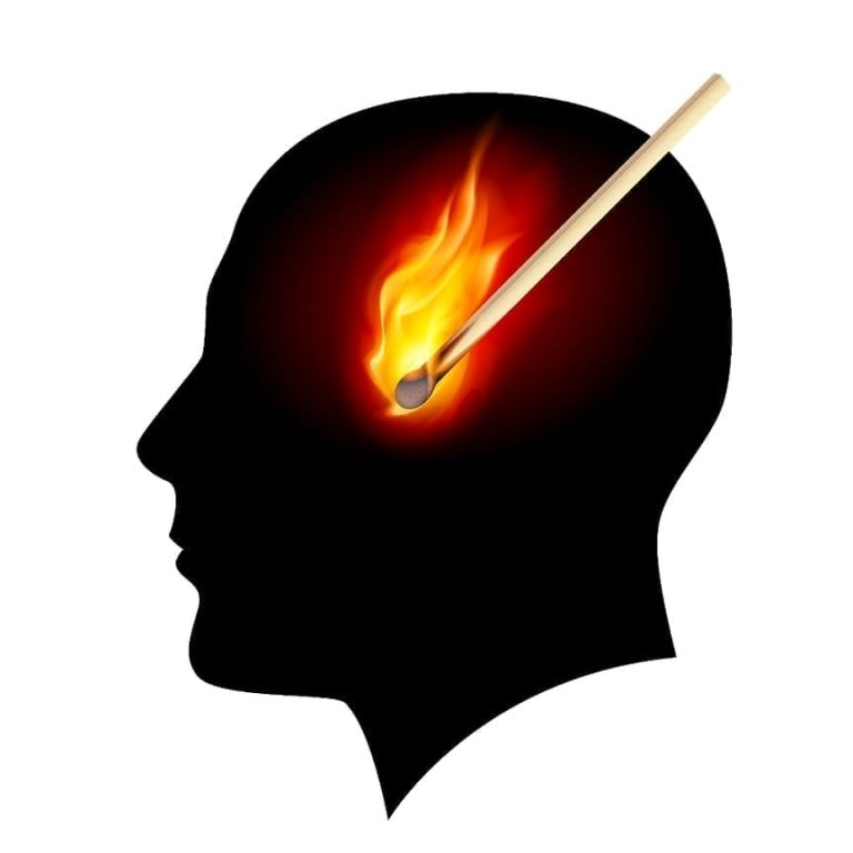 brain-on-fire-a-fabulous-read-and-insightful-look-into-a-disease-the