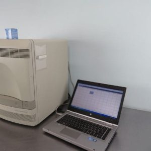 ABI 7300 Real Time PCR