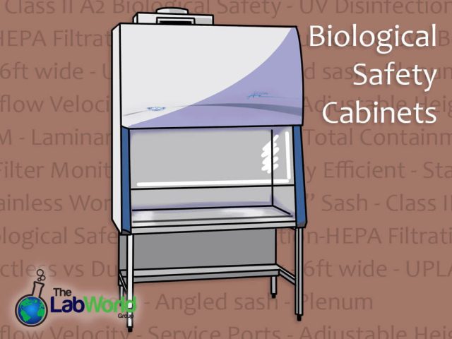 What is a Biosafety Cabinet - The Lab World Group