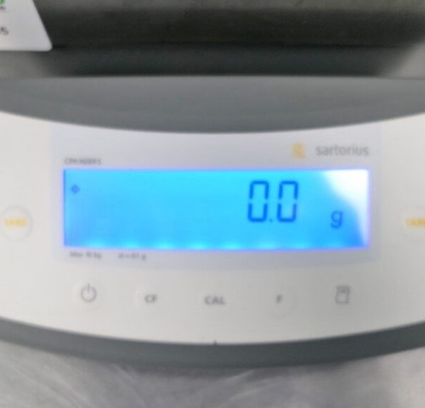 Sartorius Weighing Balance CPA16001S The Lab World Group