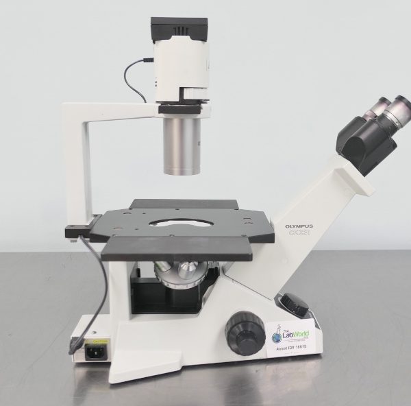 Olympus CKX31 Inverted Phase Contrast Microscope