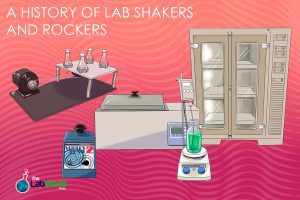 History Lab Shakers