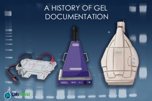 Electrophoresis-history