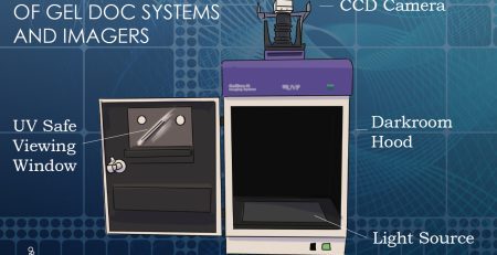 Anatomy of a gel doc system