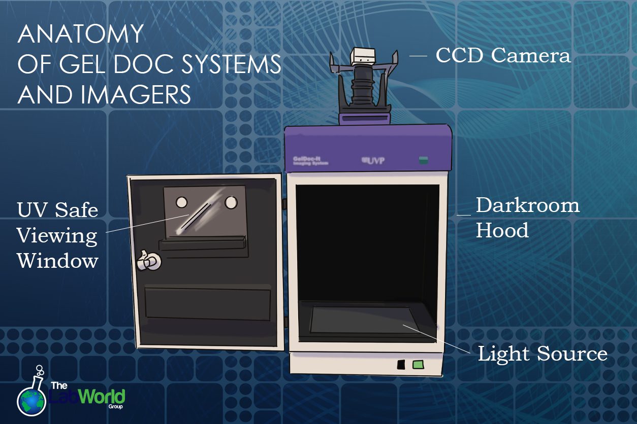 Anatomy of a gel doc system