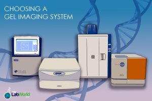 Choosing an imaging or gel documentation system