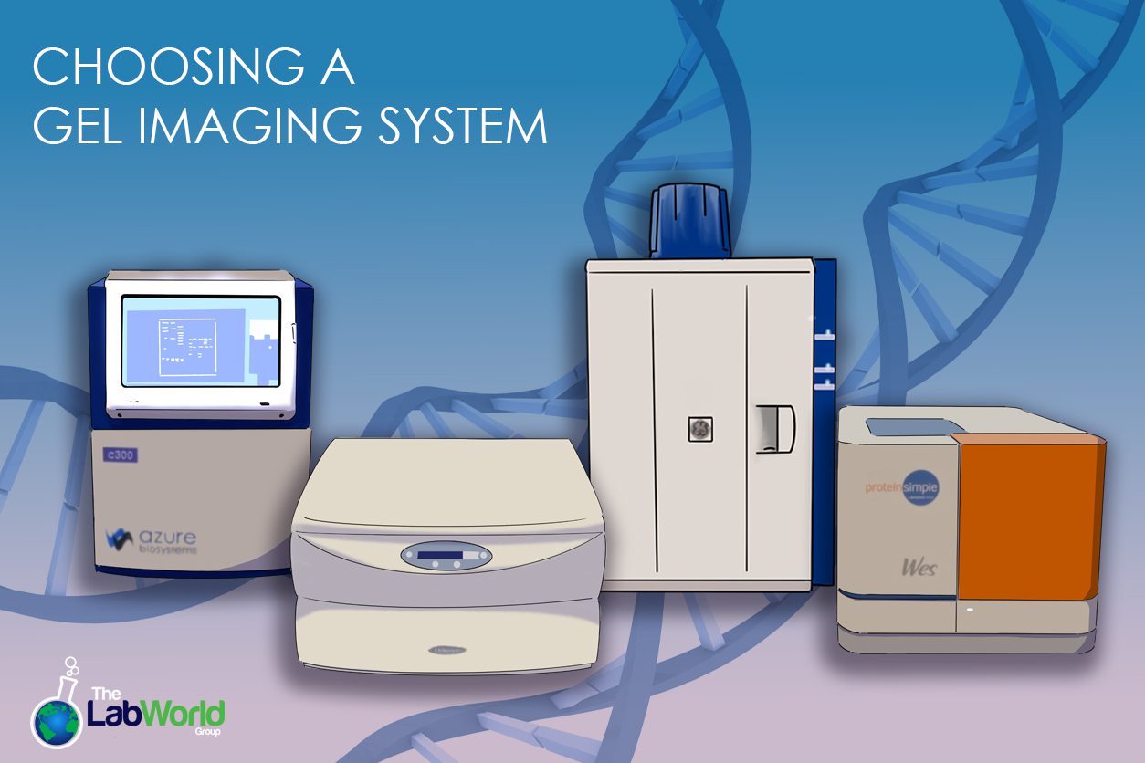 Choosing an imaging or gel documentation system