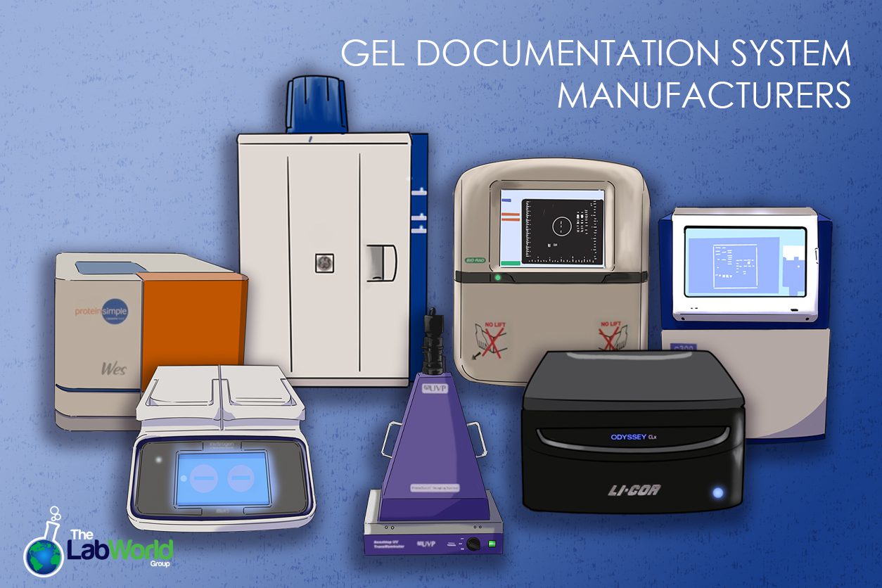 5. Gel documentation manufacturers