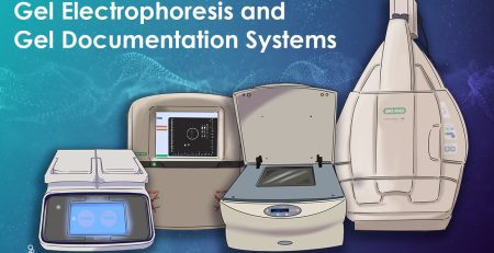 a guide to imagers and gel docs