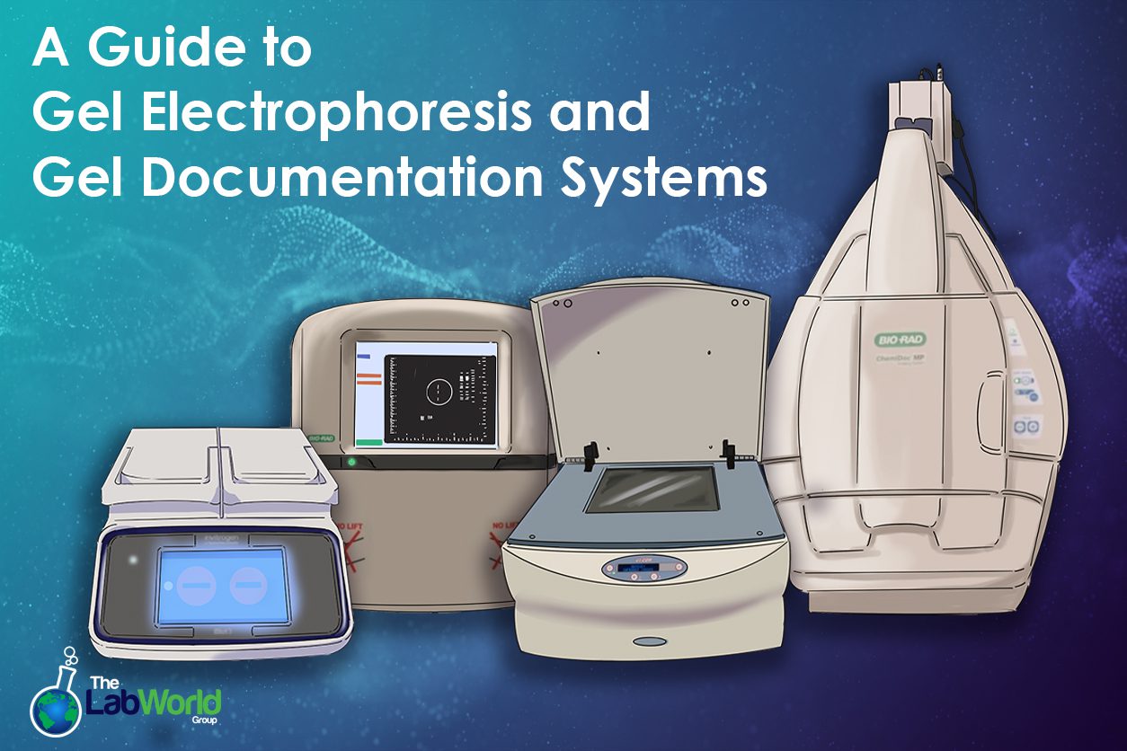 a guide to imagers and gel docs