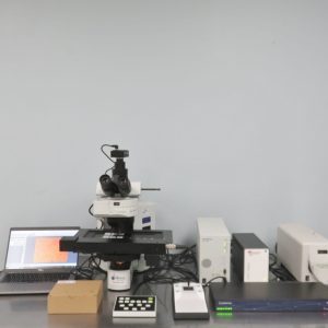 Olympus fluorescent microscope video 21358